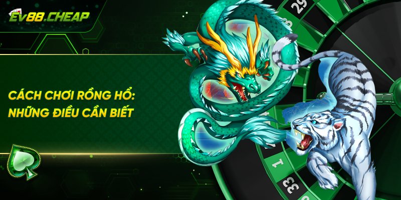 Những điều cần biết về cách chơi rồng hổ