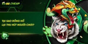 Vì sao rồng hổ được nhiều người ưu thích